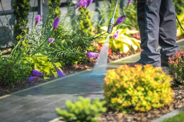 Best Warehouse Cleaning  in Rocklin, CA